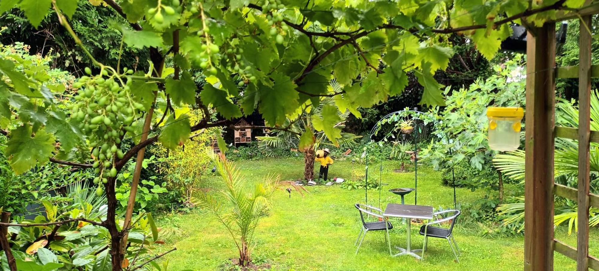 Gite Du Jardin Secret Saint-Valéry-sur-Somme Buitenkant foto